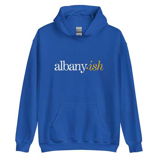 albany ish hoodie